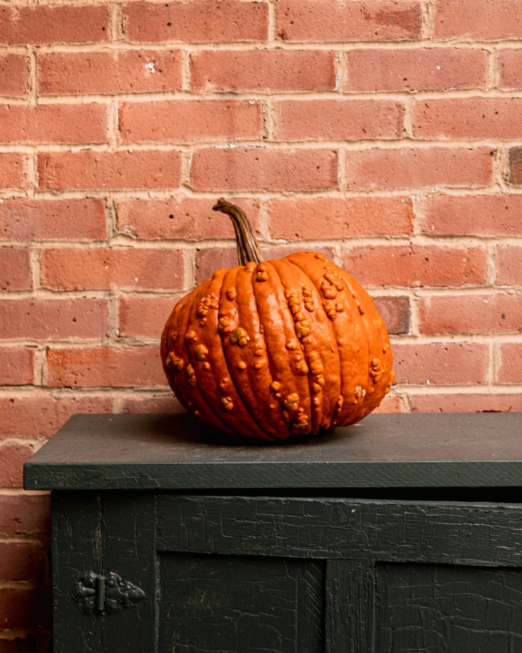 A head-on shot shows a wart-y pumpkin on top of a dark cabinet, outdoors against a brick wall.