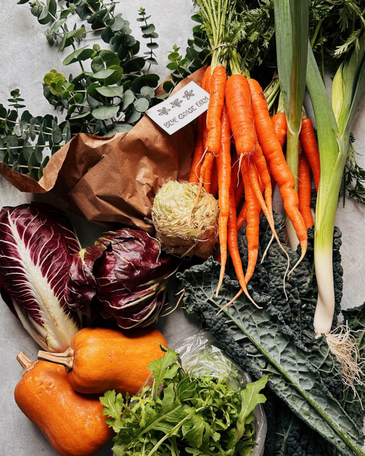 An overhead shot of cold weather veg: carrots, leeks, kale, arugula, honey nut squash, radicchio, celery root, and a bunch of eucalyptus.