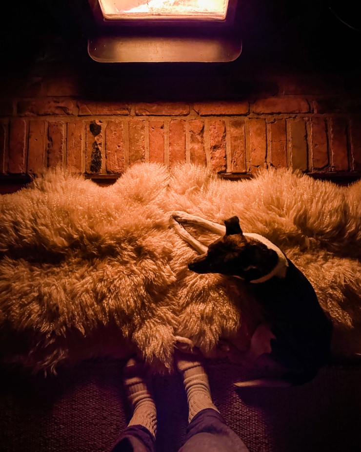 An overhead shot shows a dog laying on a shag carpet in front of a glowing wood stove.