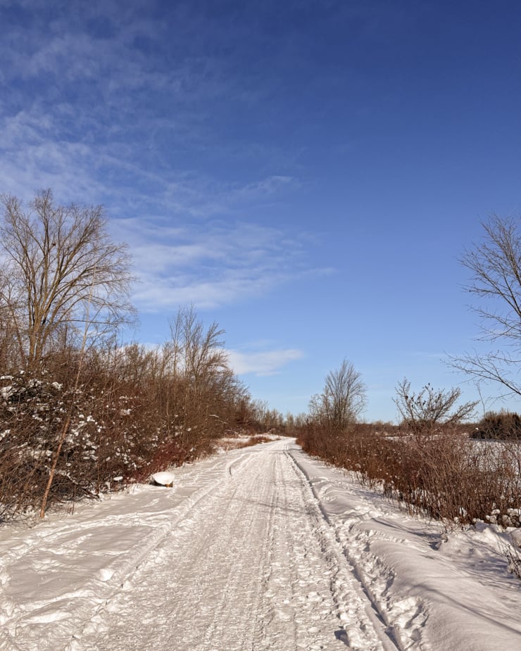 A head-on shot shows a snowy walking path lined with trees and bushes. The sky is clear blue and the sun is out.