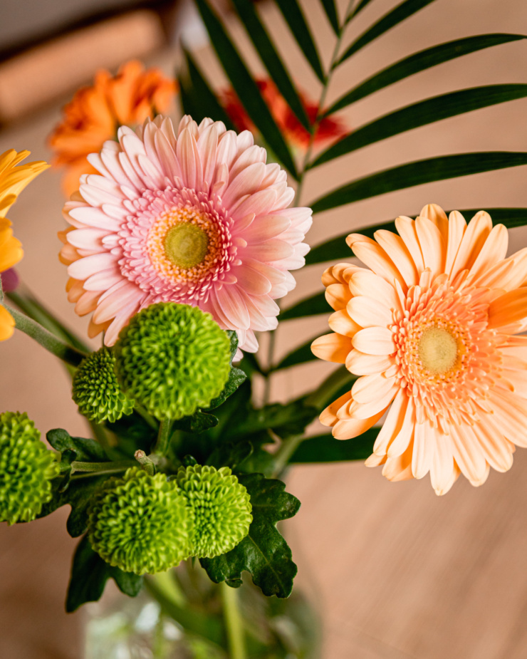 An overhead image shows gerbera daisies and round chrysanthemum ball-like flowers sticking out of a vase.