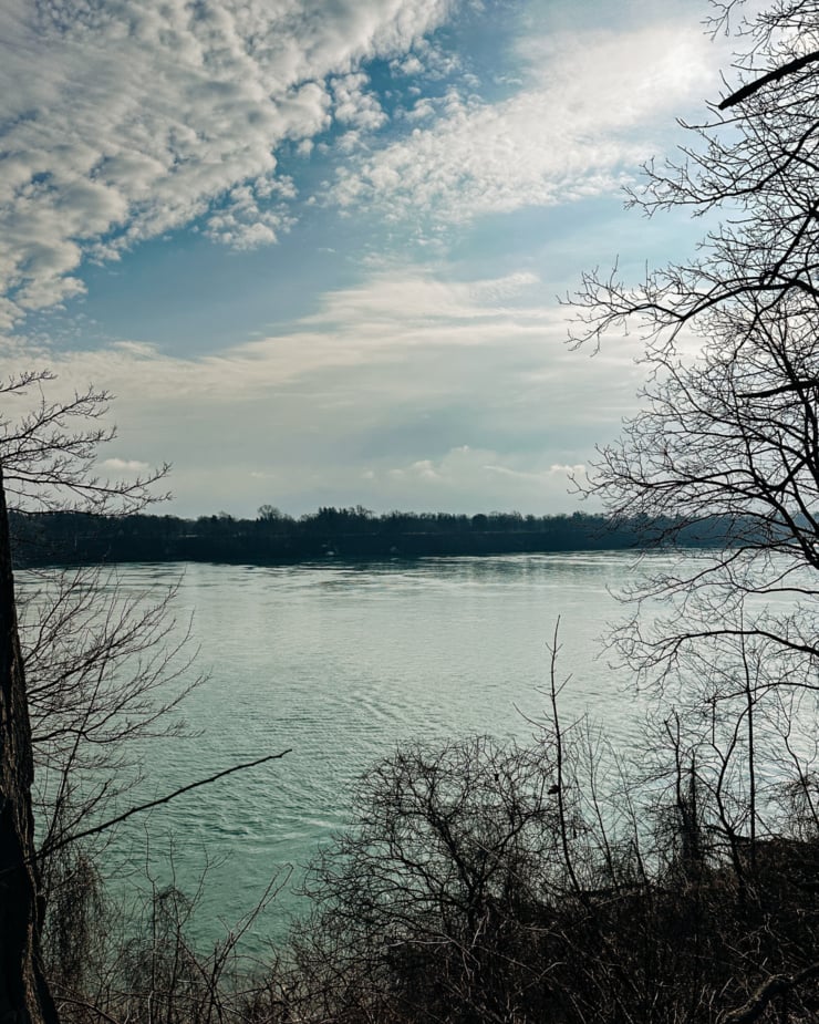 A head-on shot shows a view of a river and trees on the other side.
