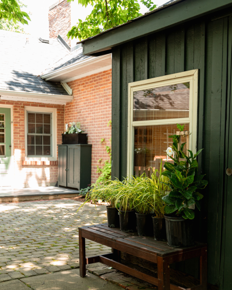 A head-on shot shows some plants in pots on a bench on the side of a shed.