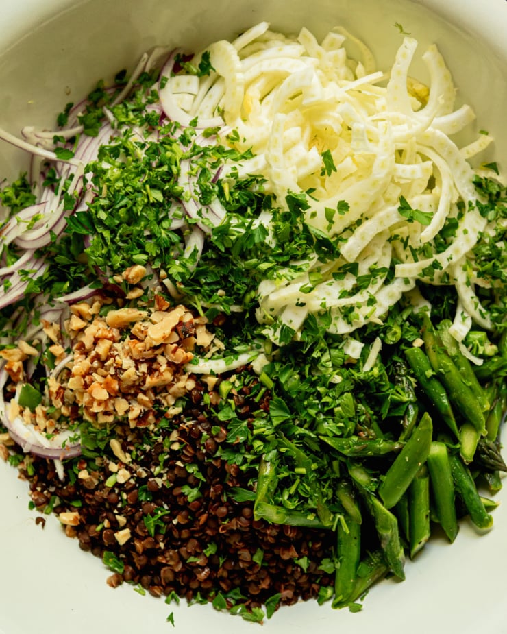 An overhead shot shows the following ingredients in a large bowl: sliced fennel, sautéed asparagus, chopped parsley, chopped walnuts, cooked French lentils, and sliced red onion.