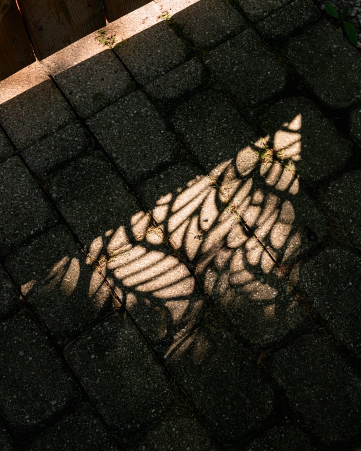 An overhead shot shows a pretty shadow from a laser cut gate insert.