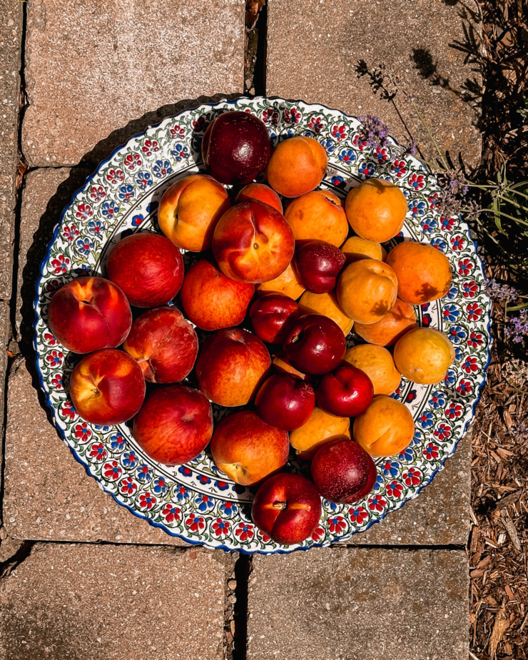 An overhead shot shows a wide bowl filled with peaches, apricots, and nectarines. the bowl is on some patio stones in full sun.