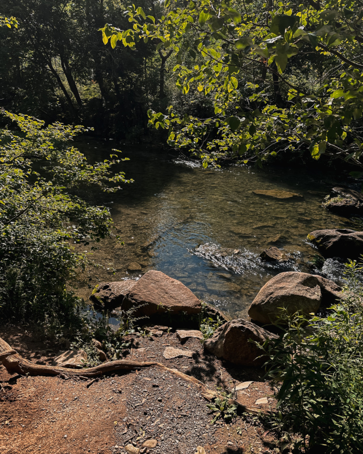 An slightly 3/4 angle image shows the bank of a river with trees around, in full sunlight on a summer day.