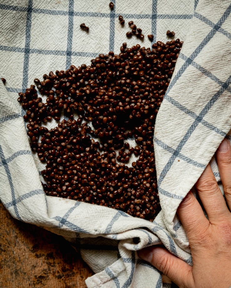 An overhead shot shows a hand using a clean kitchen towel to blot cooked lentils dry.