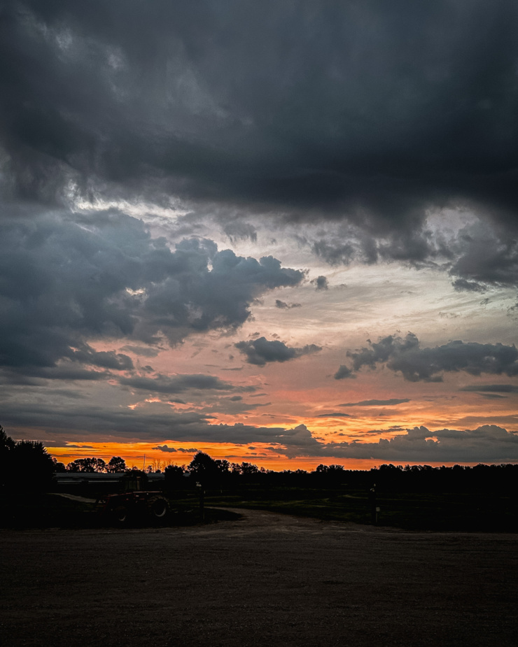 A head-on shot shows the sun just coming up over a field with lots of fluffy clouds.