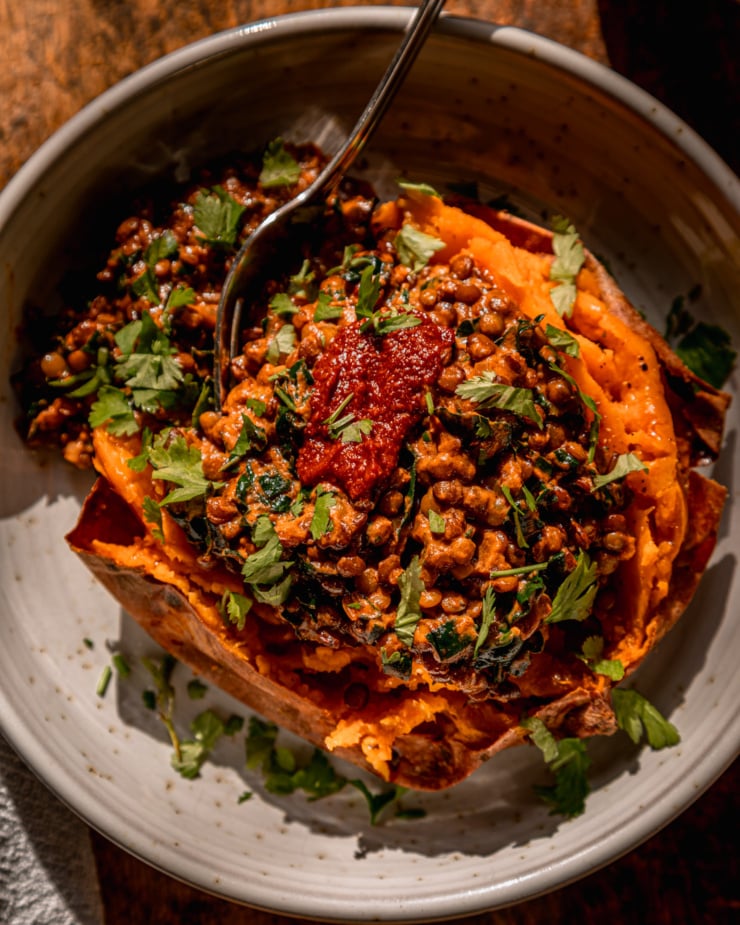 An overhead shot shows a baked sweet potato in a bowl that's stuffed with a creamy harissa coconut lentils and kale mixture. The dish is garnished with chopped cilantro and a dab of harissa. The image is shot in direct sunlight.