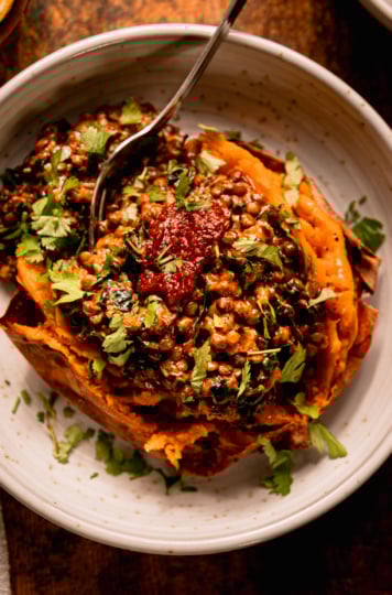 An overhead shot shows a baked sweet potato in a bowl that's stuffed with a creamy harissa coconut lentils and kale mixture. The dish is garnished with chopped cilantro and a dab of harissa.