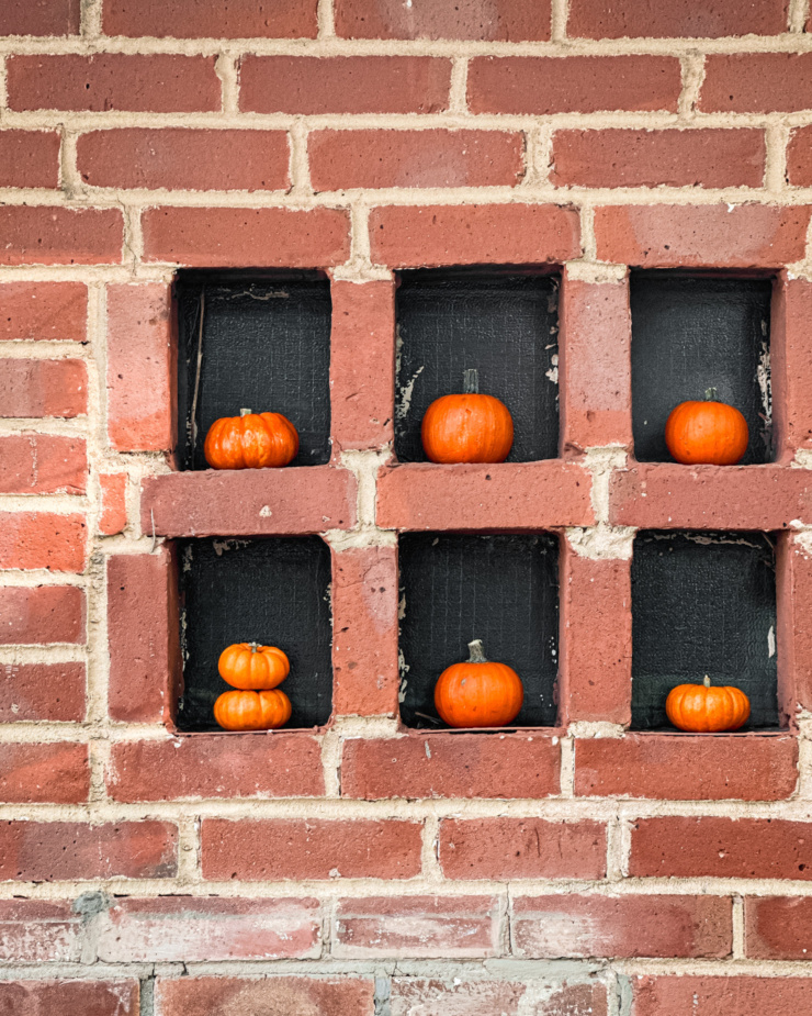 A head-on shot shows a brick wall with little square notches in it. Mini pumpkins are in all of the notches.