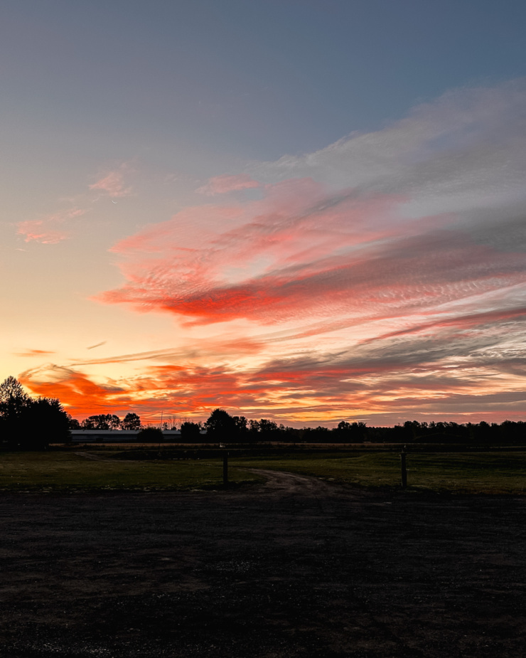 A head-on shot shows a beautiful pink and orange sunrise filtered through frothy/wispy clouds over a farmer's field.