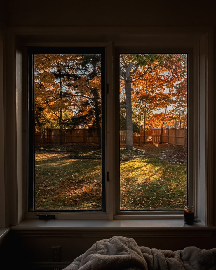 A head-on shot shows a view from a window into a backyard. The sun is rising through trees covered in warm autumn-colored leaves.