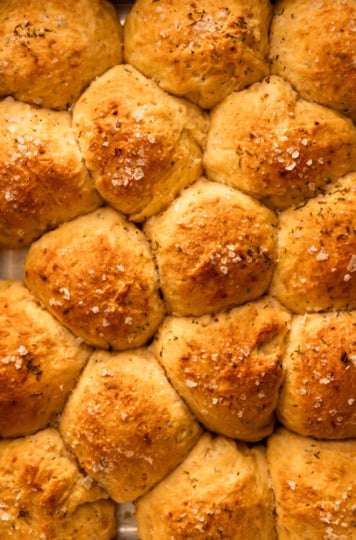 An up close, overhead shot shows a freshly baked no-knead dinner rolls that feature sweet potato purée and chopped herbs. The rolls are topped with flaky salt.