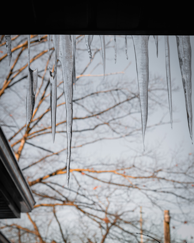 An upward facing shot shows icicles hanging down from a roof with a big oak tree in the background.