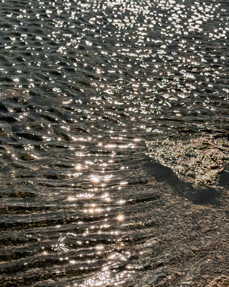 A 3/4 angle shot shows ripples of a river sprakling in the sunshine.