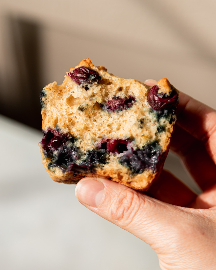 An up close shot shows the fluffy crumb of a split open vegan blueberry muffin with jammy pockets of blueberries. The muffin half is being held by a hand in bright natural light.