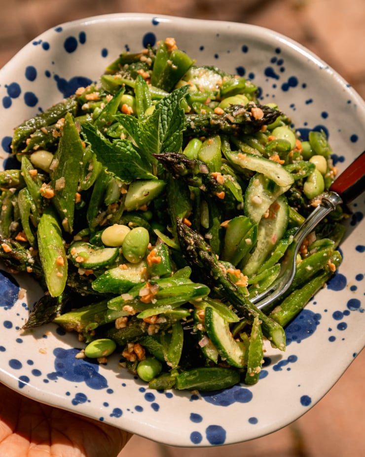 An overhead shot shows an individual serving of a roasted asparagus salad with edamame, snap peas, and cucumber. The shot is taken in direct sunlight outside.