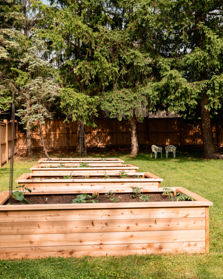 A head-on shot shows 4 raised vegetable garden beds in a backyard.