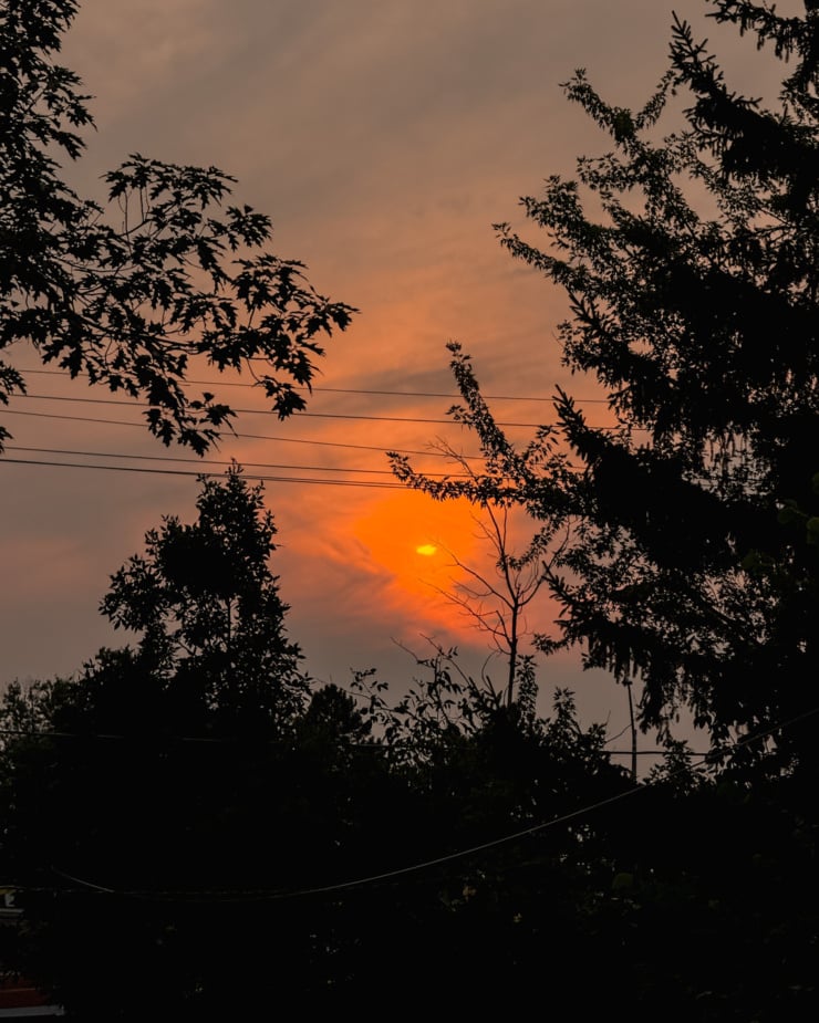 A head-on shot shows a hazy sunset with the shadows of trees in the foreground.