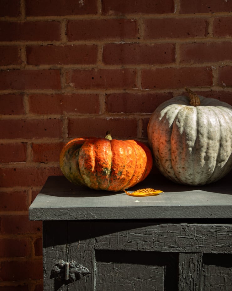 A head-on shot shows two pumpkins on a cabinet against a brick wall outside.