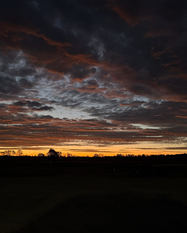 A head-on shot shows the first stages of a sunrise over a field with lots of feathery, low hanging clouds.