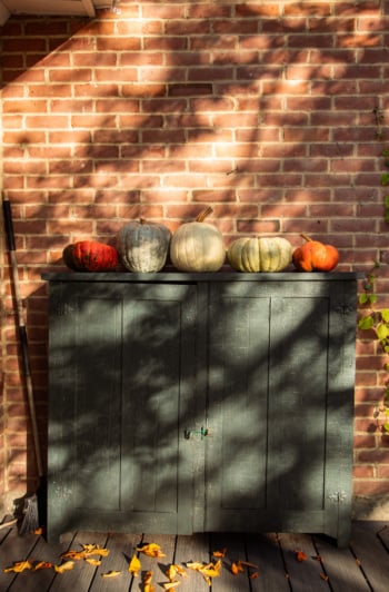 A head-on shot shows a cabinet on an outdoor porch in dappled late afternoon light. Five pumpkins sit on top of the cabinet in a row, set against a brick background.