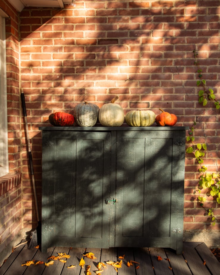 A head-on shot shows a cabinet on an outdoor porch in dappled late afternoon light. Five pumpkins sit on top of the cabinet in a row, set against a brick background.