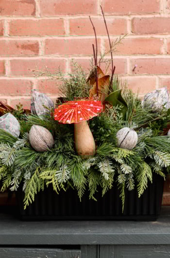 A head-on shot shows a window box filled with winter greens and branches and little holiday ornaments.