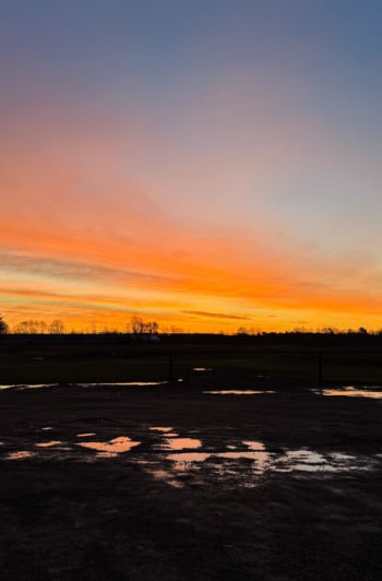A head-on shot shows a sun rise over a farmer's field.