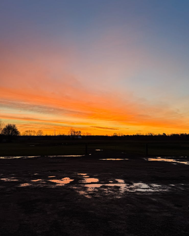 A head-on shot shows a sun rise over a farmer's field.