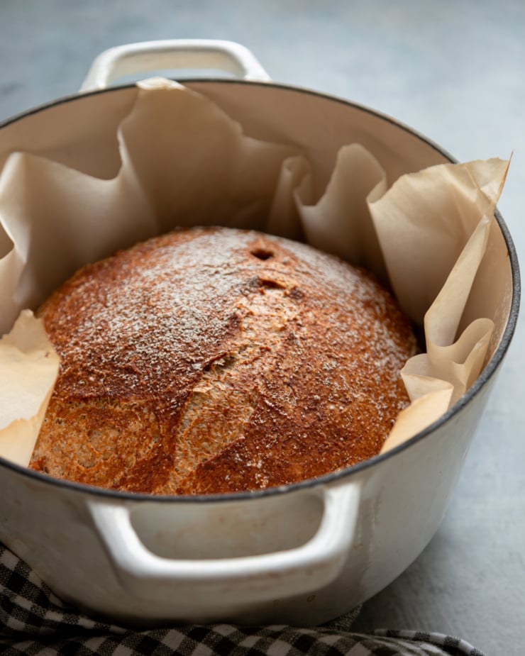 A 3/4 angle shot shows a baked round loaf of no-knead whole wheat bread in a Dutch oven, surrounded by parchment paper.