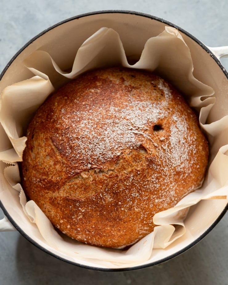 An overhead shot shows a baked round loaf of no-knead whole wheat bread in a Dutch oven, surrounded by parchment paper.